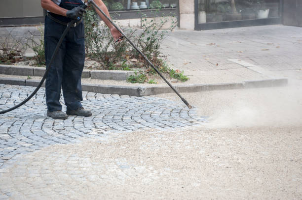 Best Sign and Awning Cleaning  in Auburn, IL